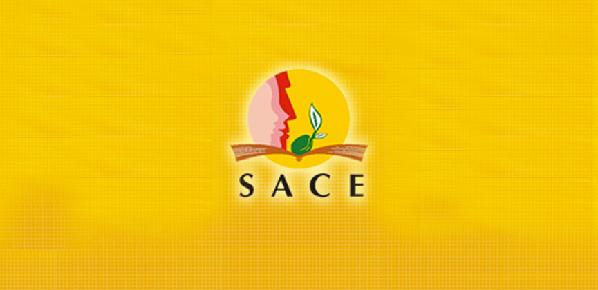 Applications Open for the South African Council for Educators (SACE ...